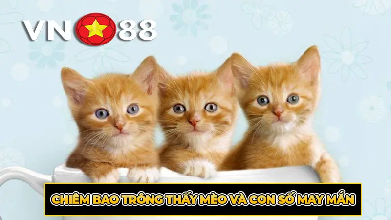 Chiêm bao trông thấy mèo và con số may mắn