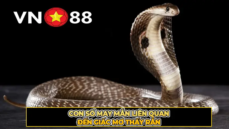 Con số may mắn liên quan đến giấc mơ thấy rắn