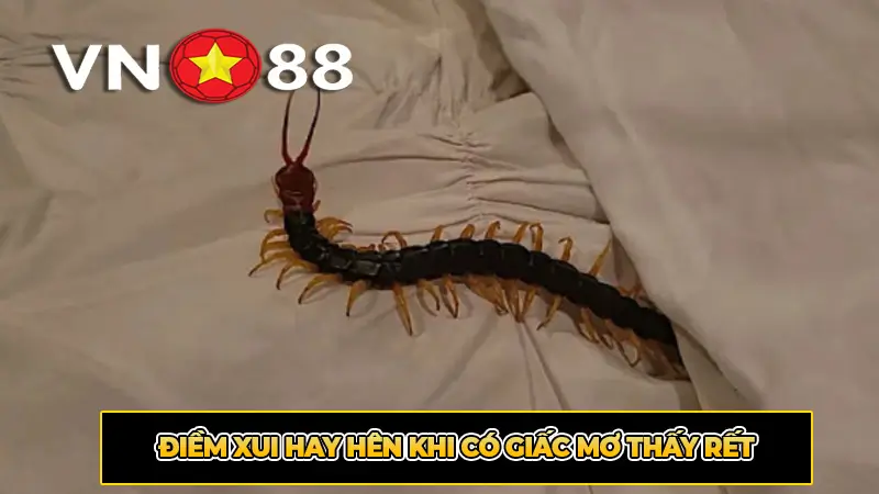 Điềm xui hay hên khi có giấc mơ thấy rết