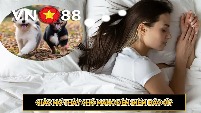 Giấc mơ thấy chó mang đến điềm báo gì?