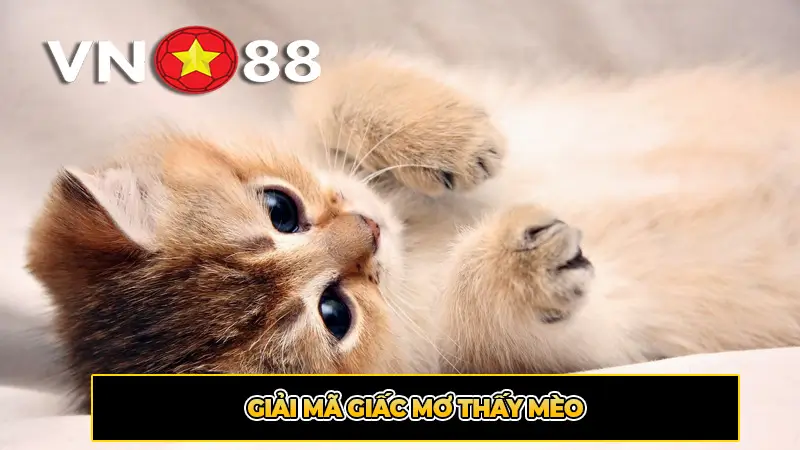 Giải mã giấc mơ thấy mèo