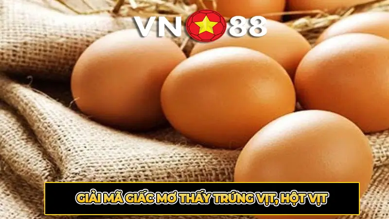 Giải mã giấc mơ thấy trứng vịt, hột vịt