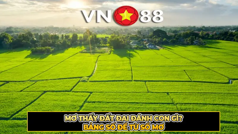 Mơ Thấy Đất Đai Đánh Số Gì? Bảng Số Đề Từ Sổ Mơ