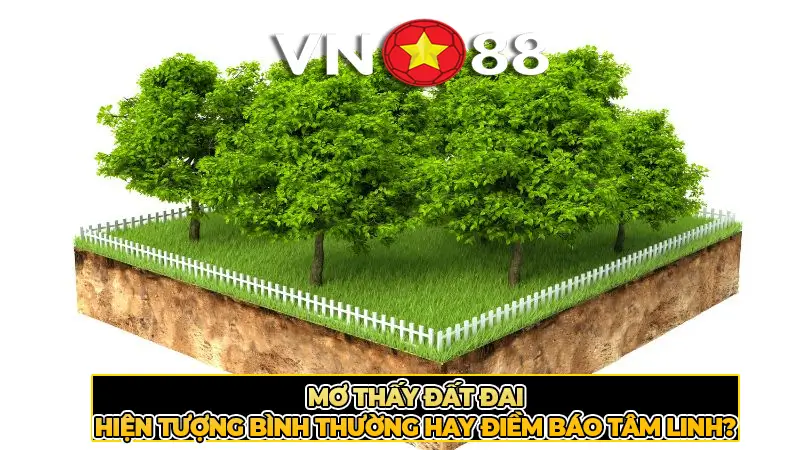 Mơ Thấy Đất Đai – Hiện Tượng Bình Thường Hay Điềm Báo Tâm Linh?