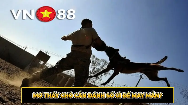Mơ thấy chó cắn đánh số gì để may mắn?
