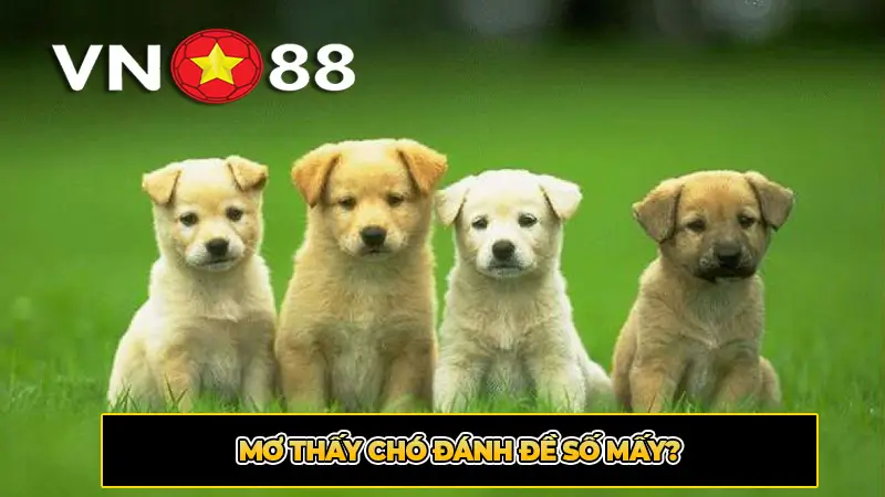 Mơ thấy chó đánh đề số mấy?