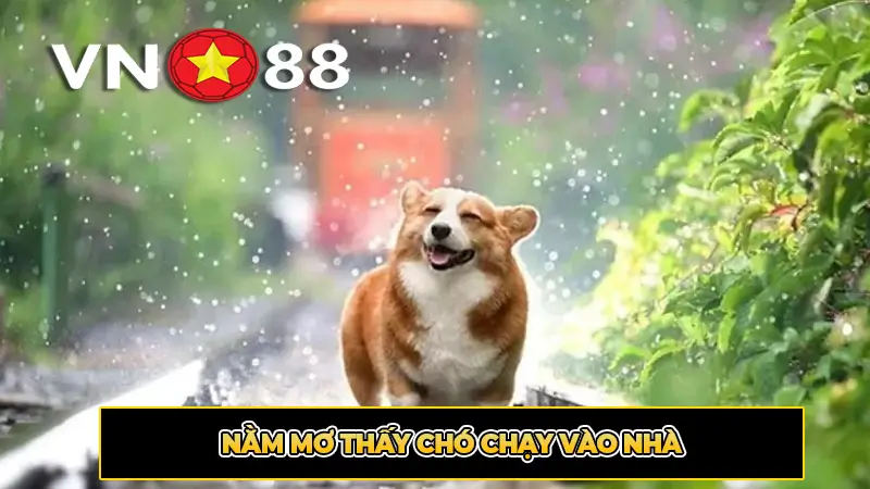 Nằm mơ thấy chó chạy vào nhà