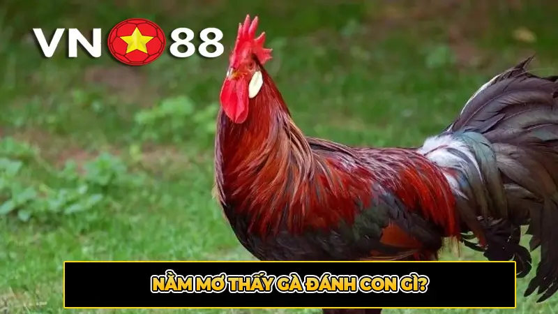 Nằm mơ thấy gà đánh con gì?