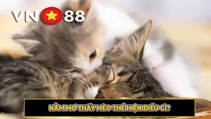 Nằm mơ thấy mèo thể hiện điều gì?