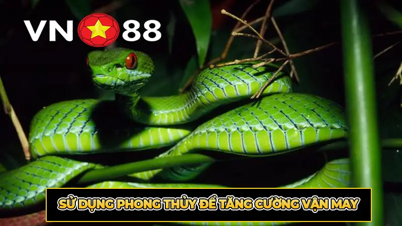 Sử Dụng Phong Thủy Để Tăng Cường Vận May
