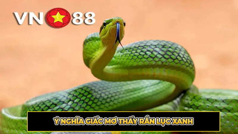 Ý Nghĩa Giấc Mơ Thấy Rắn Lục Xanh