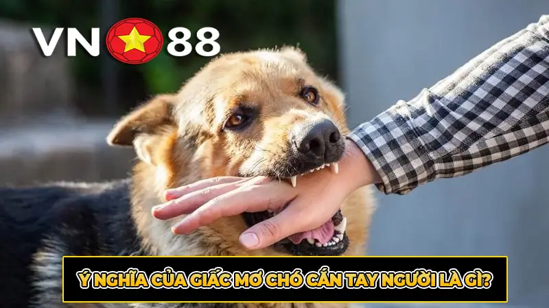 Ý nghĩa của giấc mơ chó cắn tay người là gì?