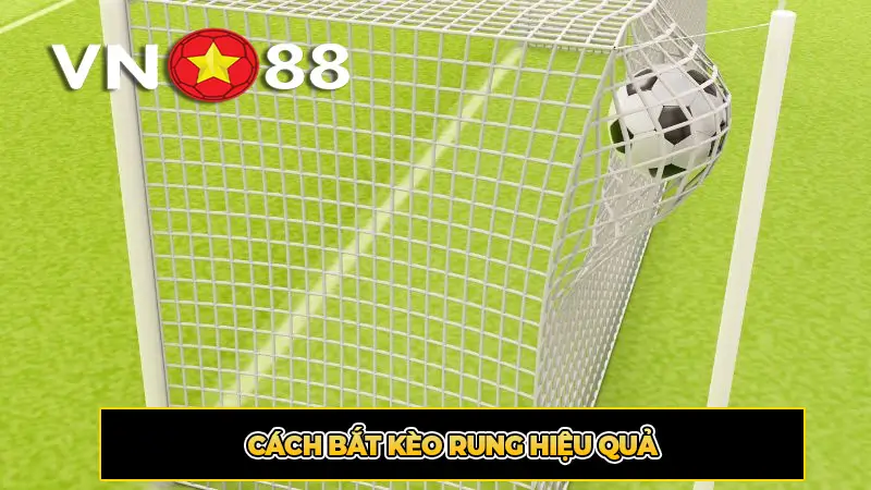 Cách Bắt Kèo Rung Hiệu Quả