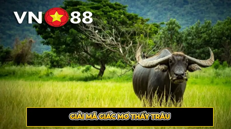 Giải Mã Giấc Mơ Thấy Trâu