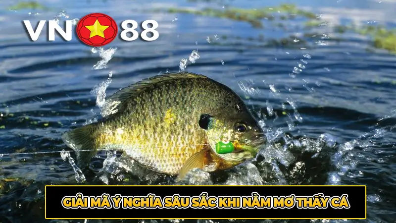 Giải mã ý nghĩa sâu sắc khi nằm mơ thấy cá