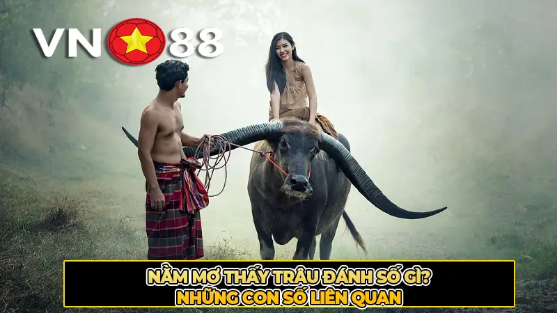 Nằm Mơ Thấy Trâu Đánh Số Gì? Những Con Số Liên Quan