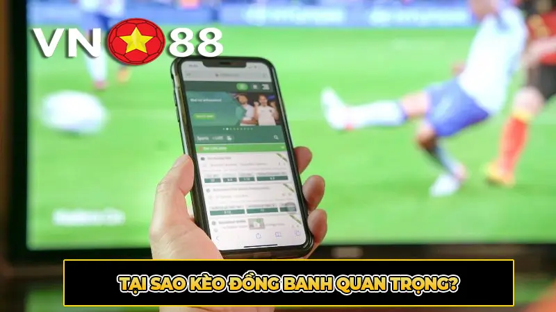 Tại Sao Kèo Đồng Banh Quan Trọng?