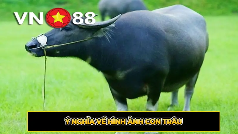 Ý Nghĩa Về Hình Ảnh Con Trâu