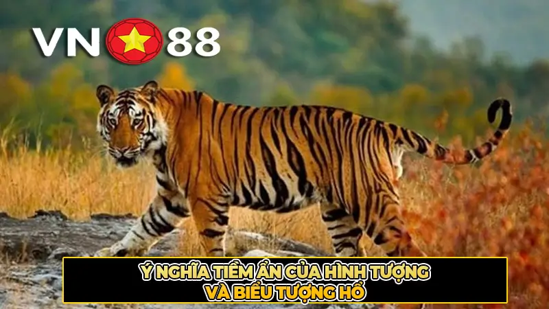 Ý nghĩa tiềm ẩn của hình tượng và biểu tượng hổ